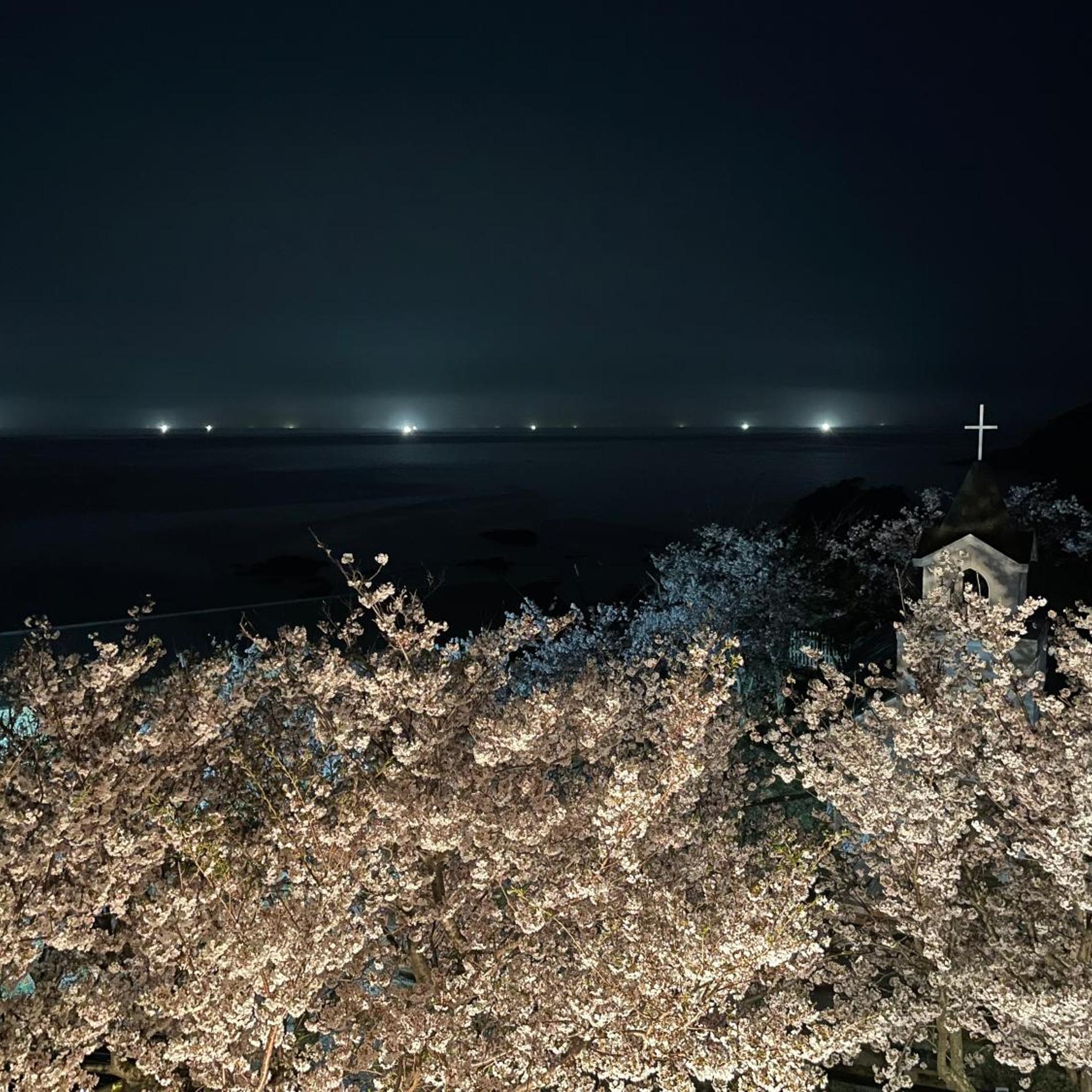 Tsushima Grand Hotel 46/53