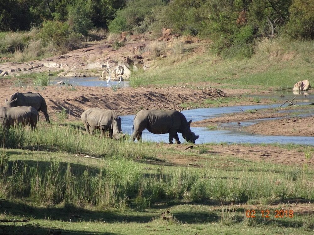 Mziki Safari Lodge 74/76