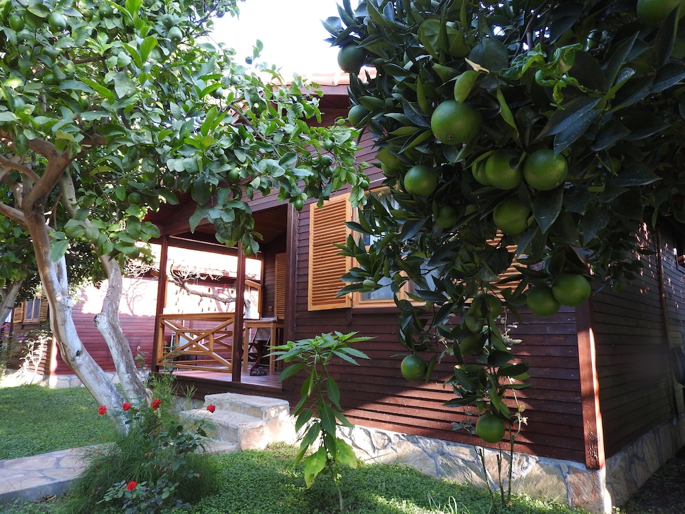 Mercan Bungalow 43/50