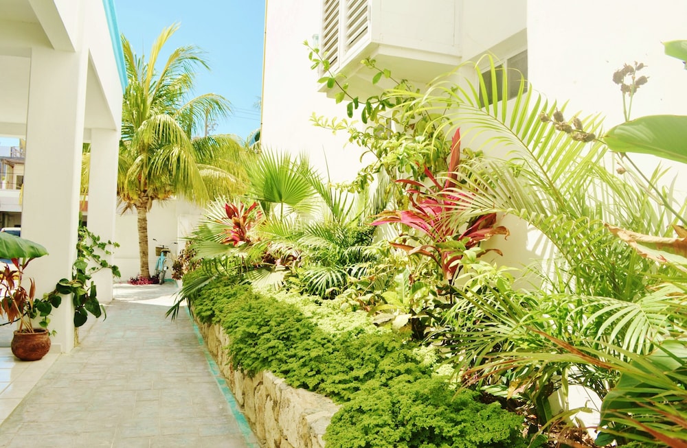 Corales Suites 43/50