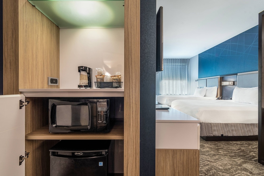 SpringHill Suites by Marriott Charleston Airport & Convention Center 37/43