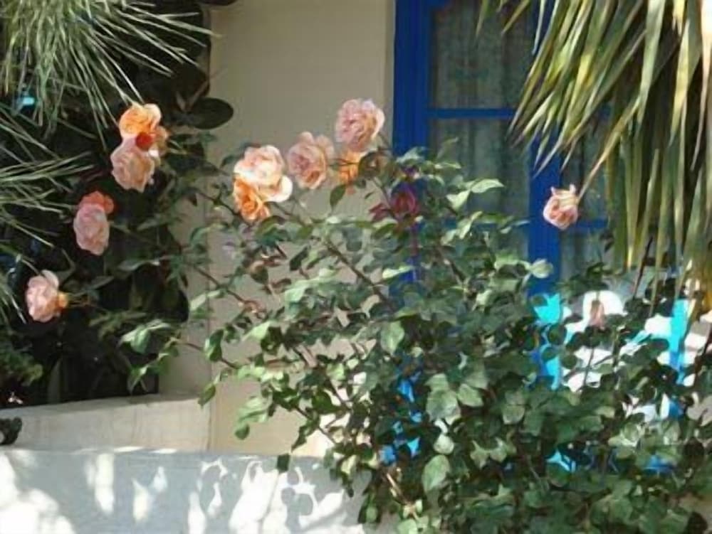 Creta Sun Hotel Studios 5/26