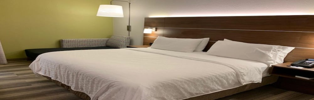 Holiday Inn Express Tampa-Brandon 15/52