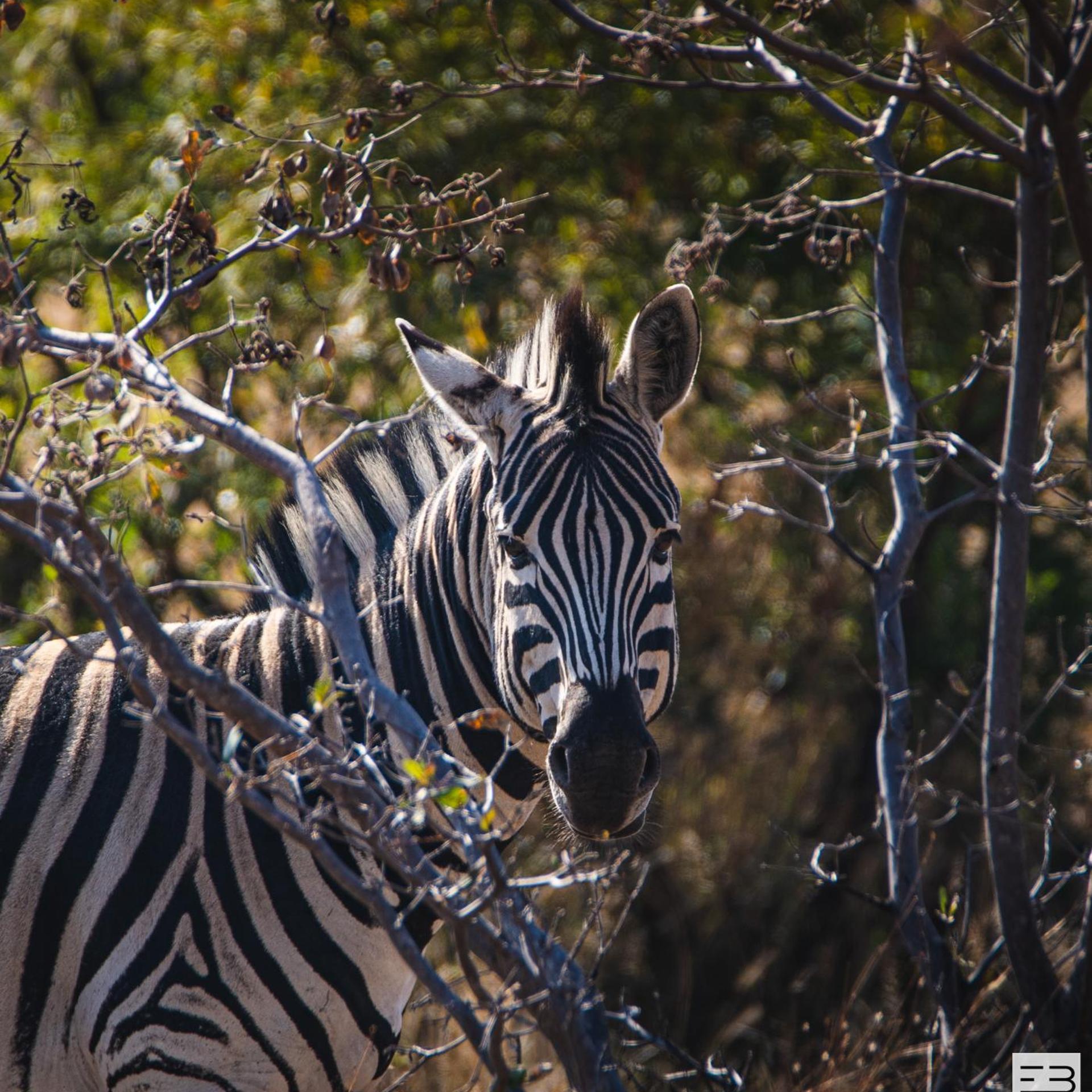 Geluksfontein Private Game Farm 18/49
