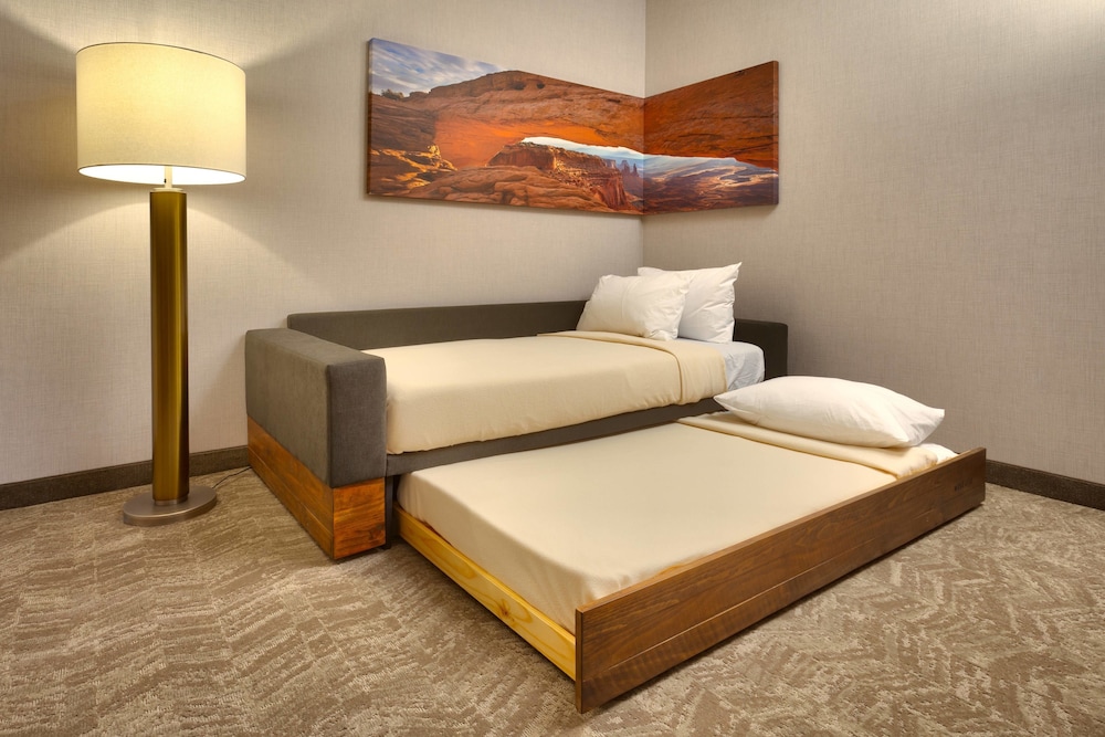 SpringHill Suites by Marriott Moab 31/71