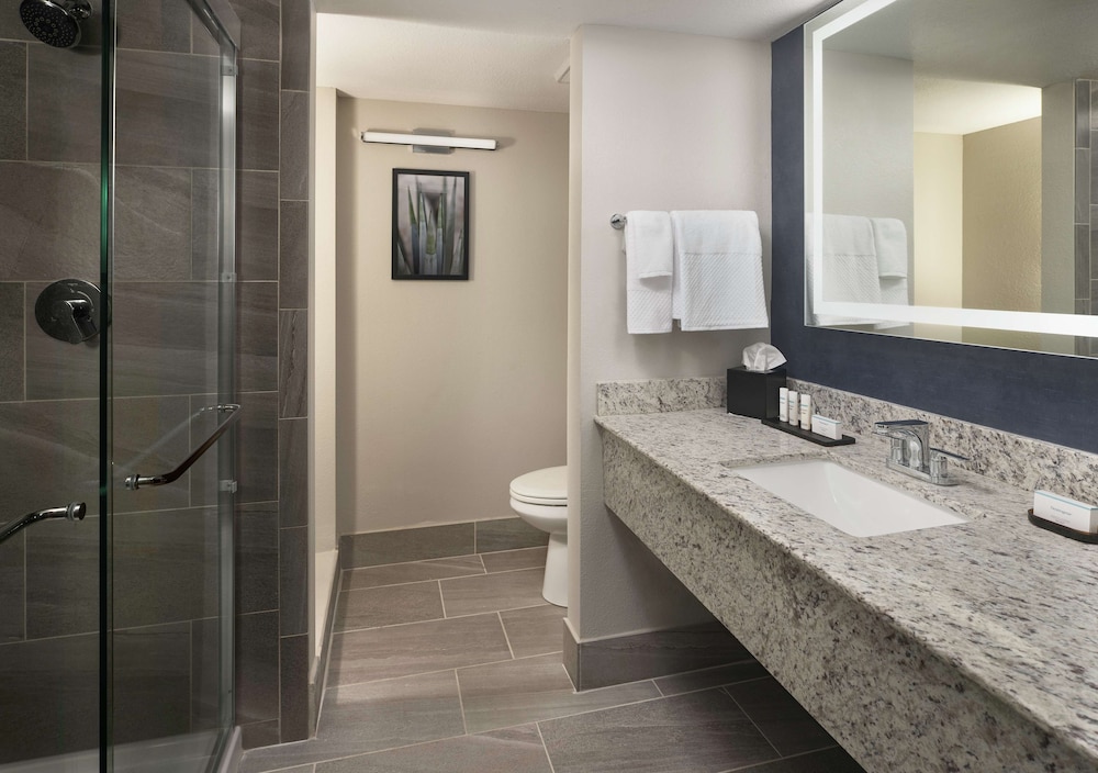 Embassy Suites by Hilton Tucson East 18/48