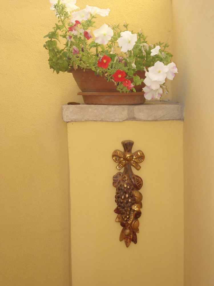 Il Giardino Segreto 6/38