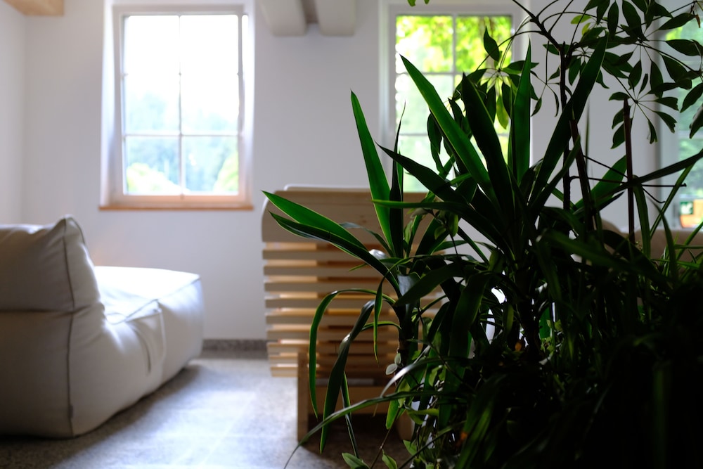 Parkhotel Sole Paradiso 34/50