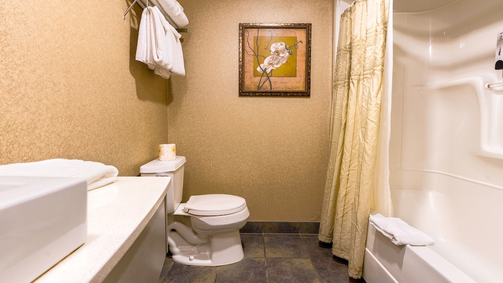 Hotel Lindbergh – Laurier Quebec 49/49
