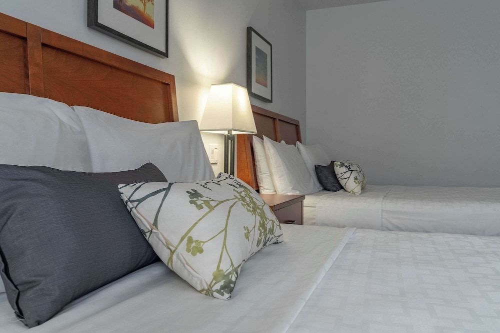 Hotel Le Victorin, an Ascend Hotel Collection Member 21/53