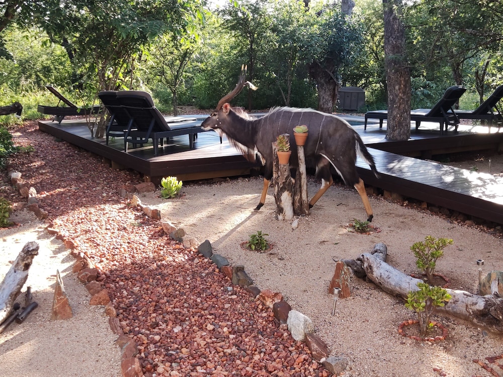 Gem in the Bush Lodge 42/50