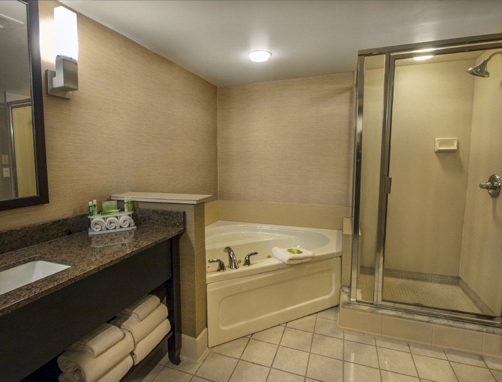 Holiday Inn Express Hotel Suites Buffalo Airport 21/58