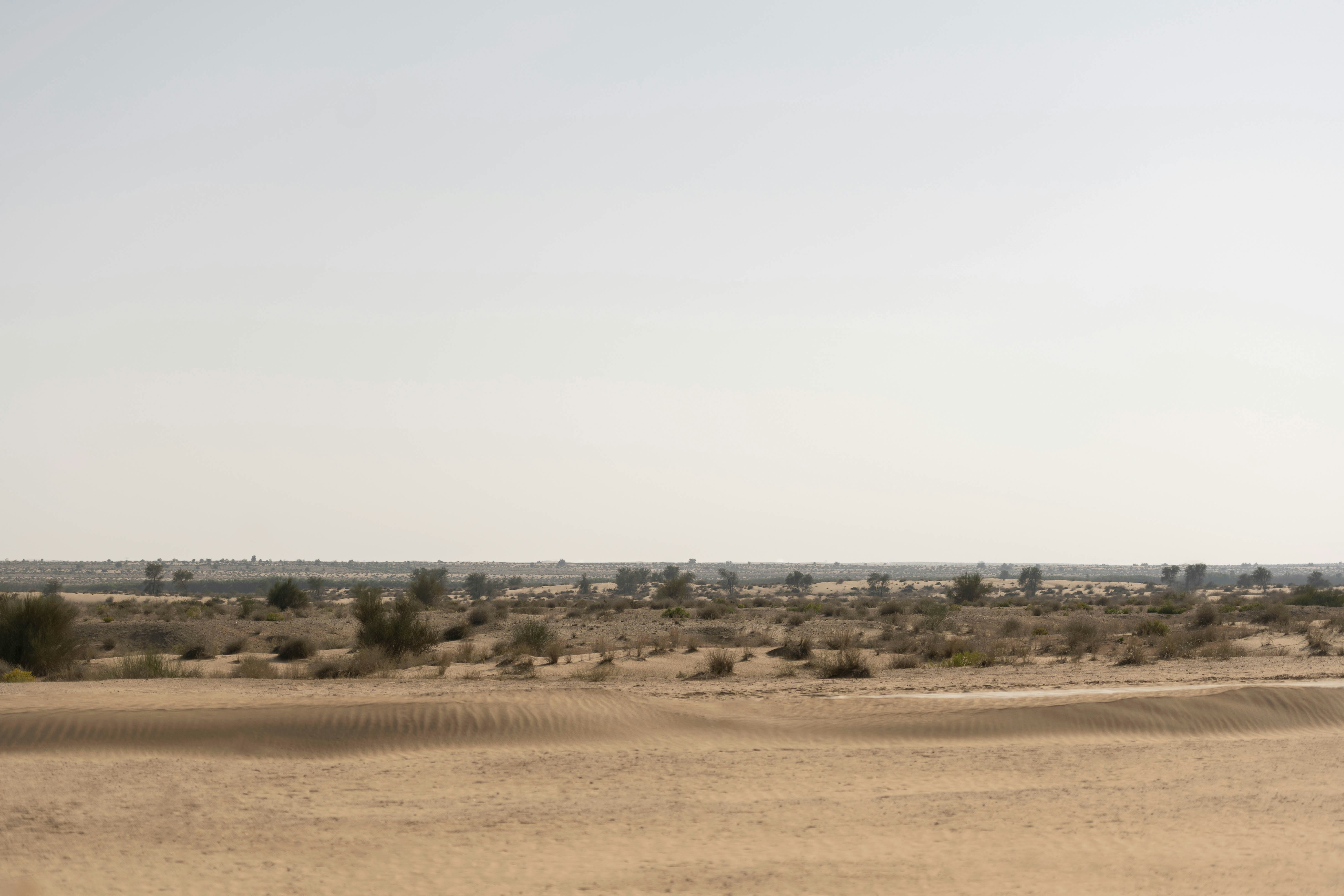 Bab Al Shams Desert Resort and Spa 36/50