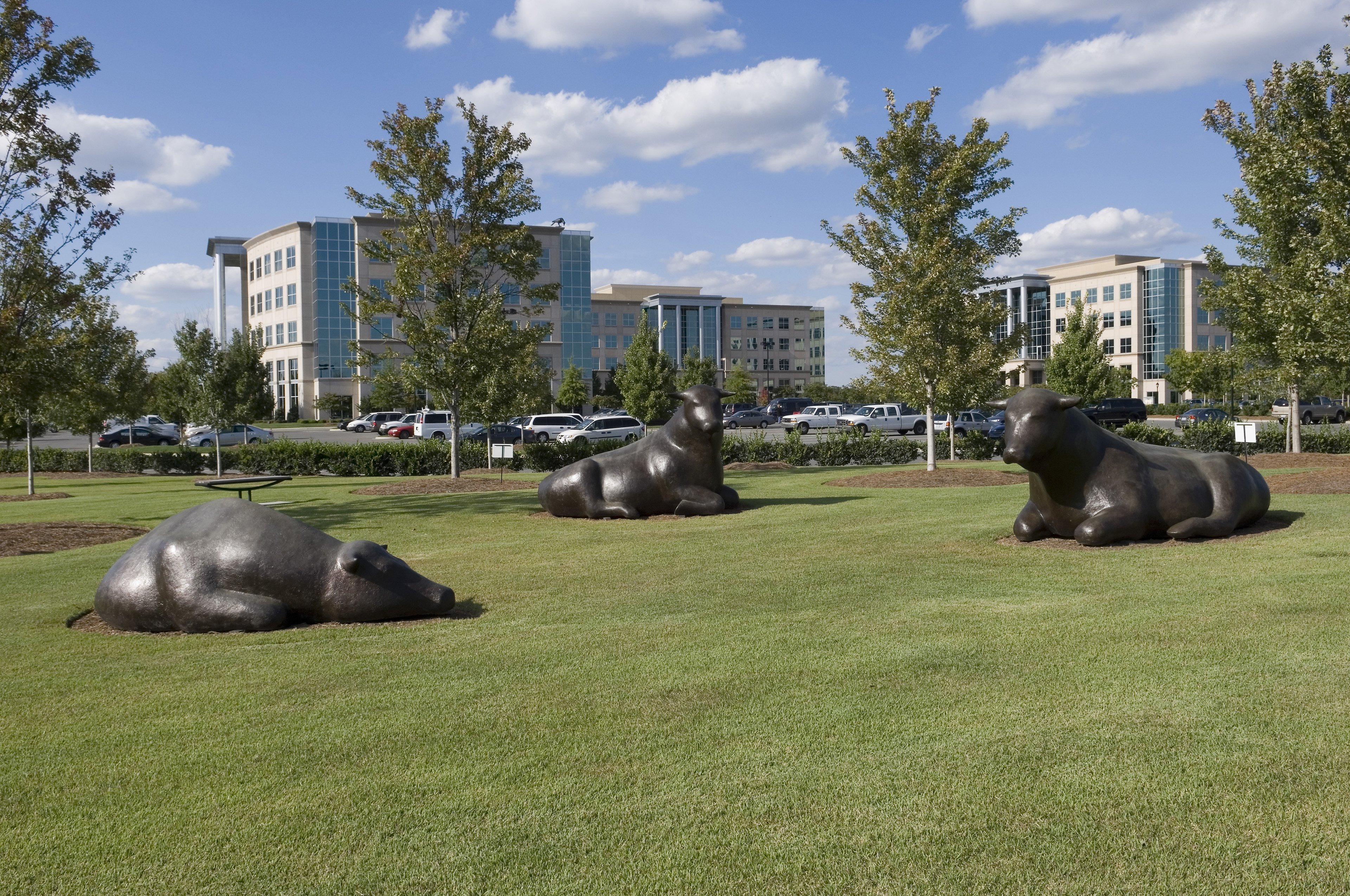 Staybridge Suites Charlotte Ballantyne 53/70