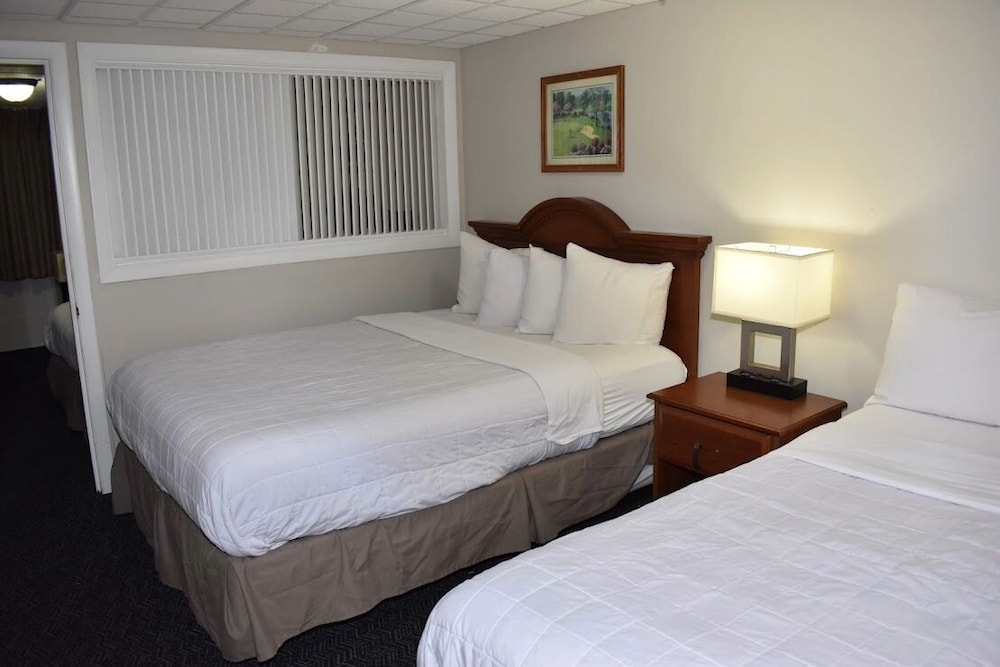 Family, 1 Single and 2 Queen Beds