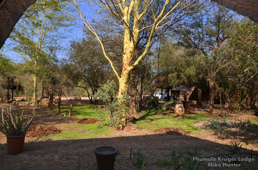 Phumula Kruger Lodge 52/66