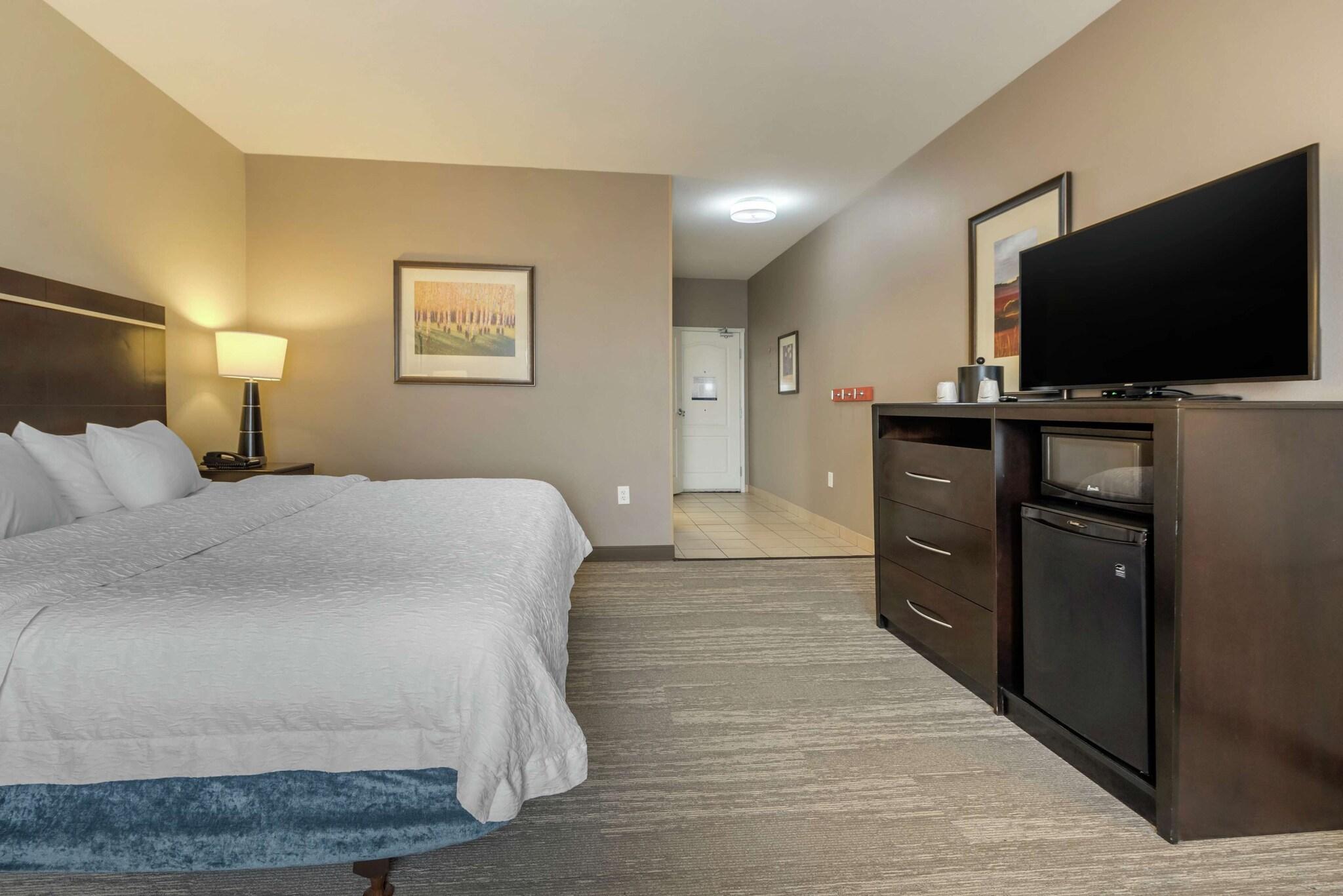 Studio, 2 Queen Beds