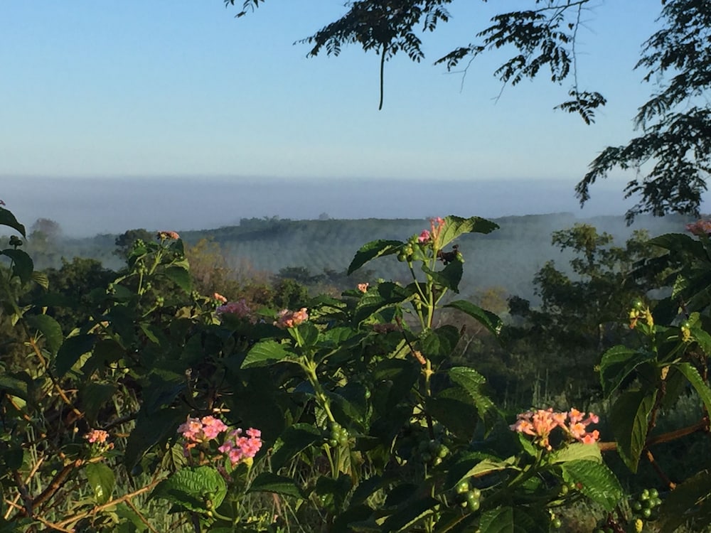 Khaoyai Nature Retreat 33/48