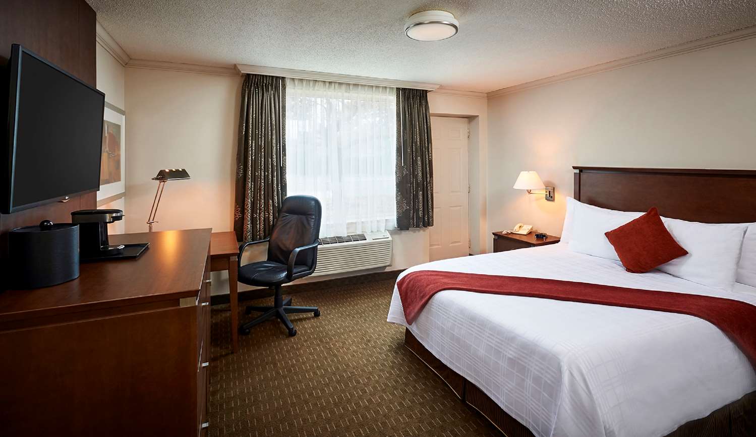 Room, Murphy Bed, Queen Bed, Sofa