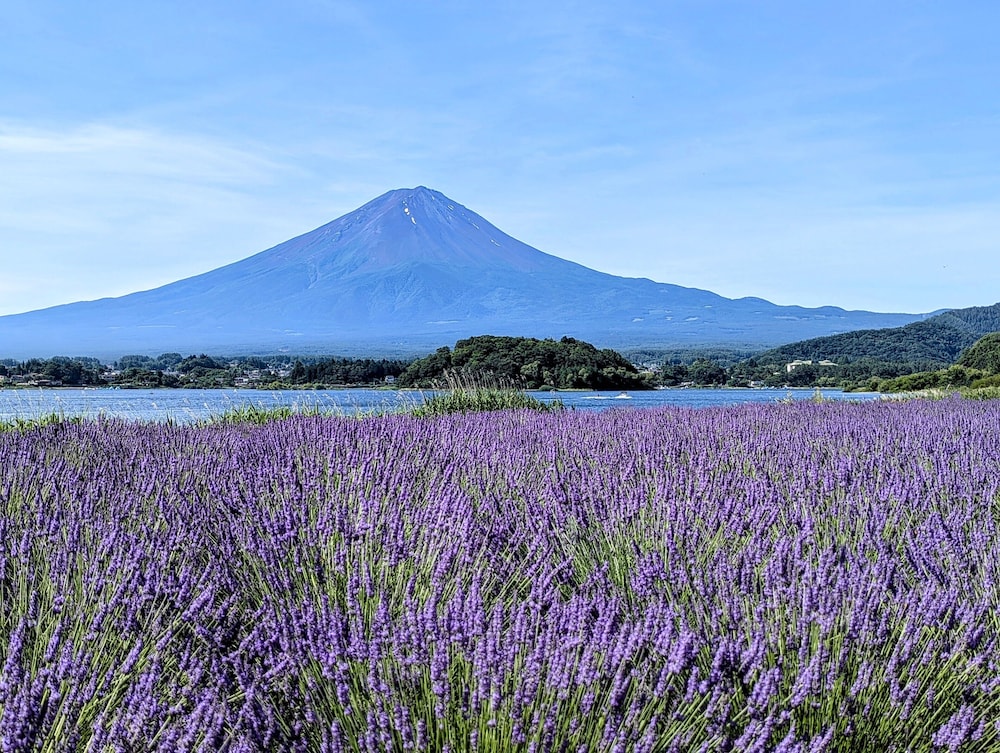 Fuji Gran Villa - Toki - 47/50