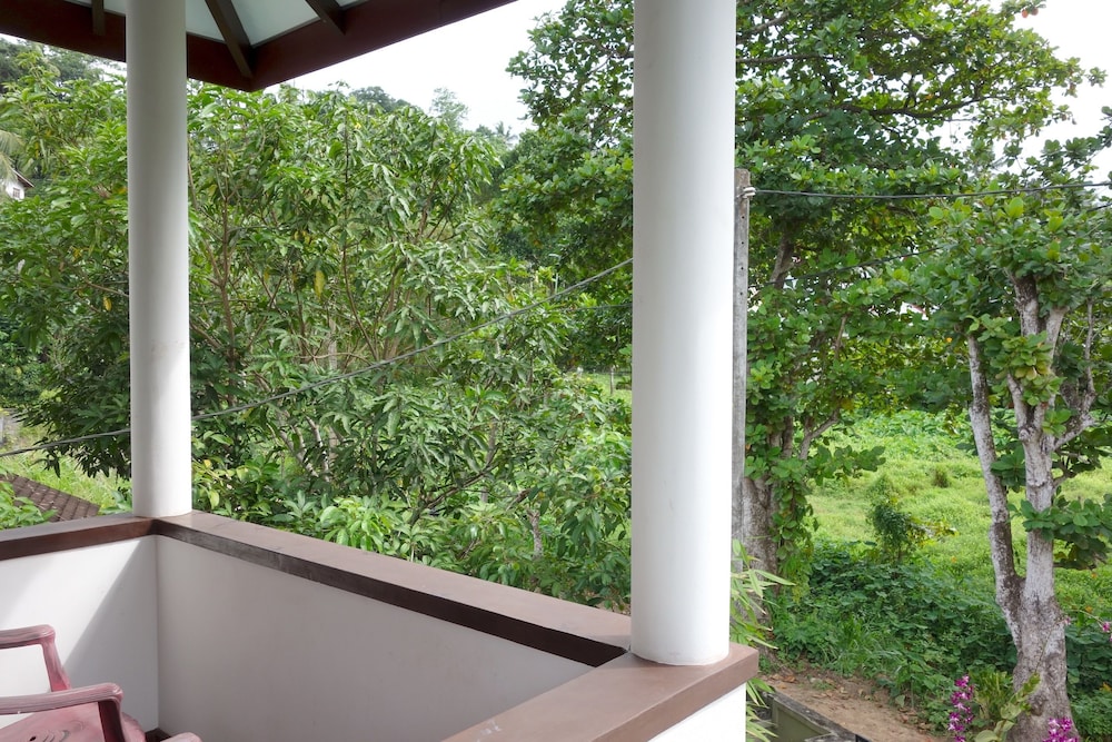 Manel Guesthouse 42/50