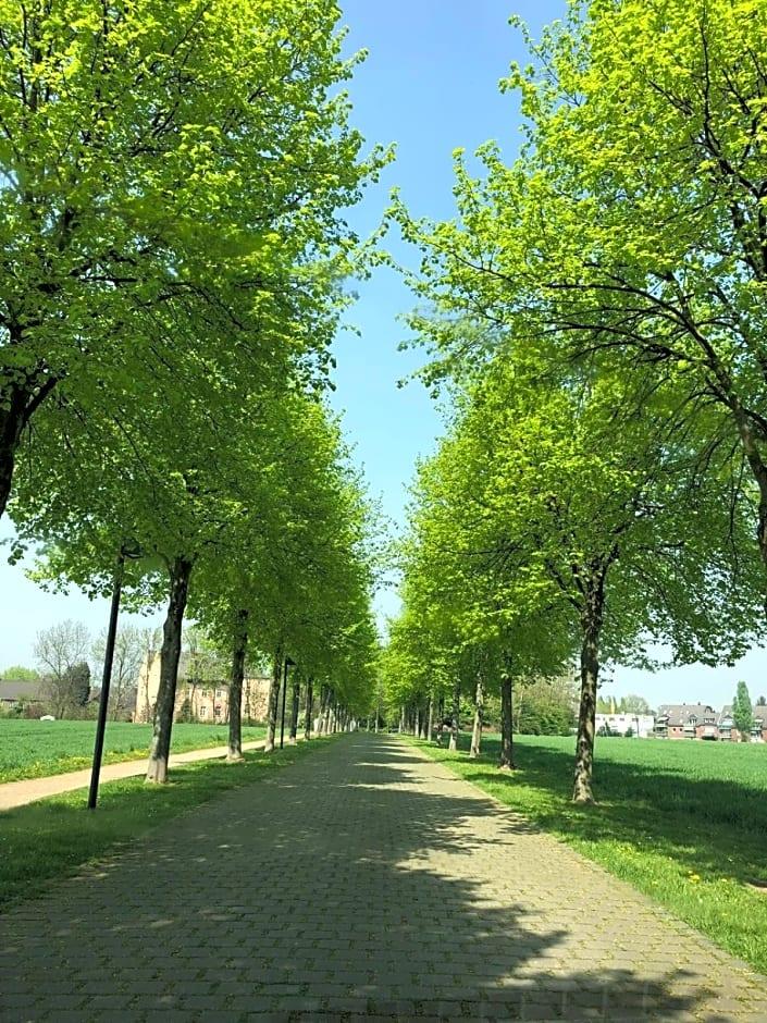Gut Dyckhof 35/42
