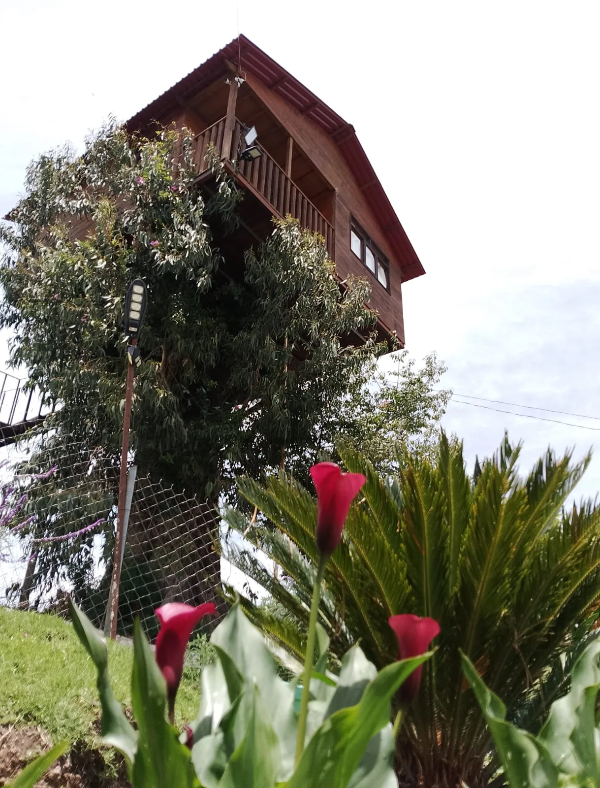 Casita del arbol Trini By GEstores 1/30