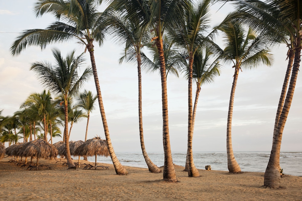 Excellence el Carmen Adults Only 69/76