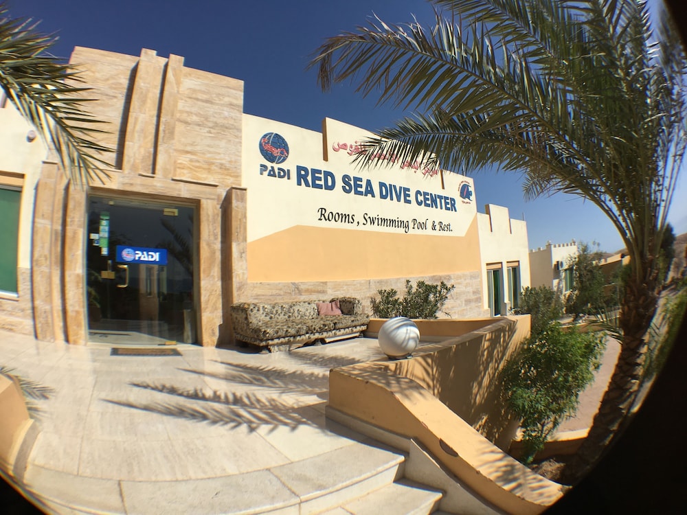 Red Sea Dive Center Hotel and Dive Center 18/29