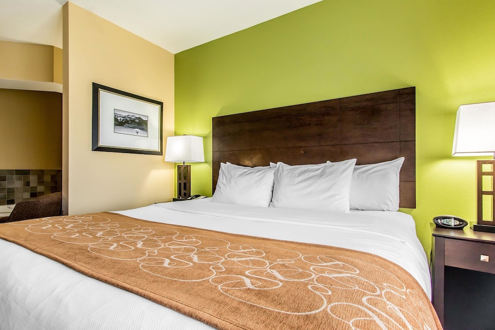 Comfort Suites Jackson I-40 14/47