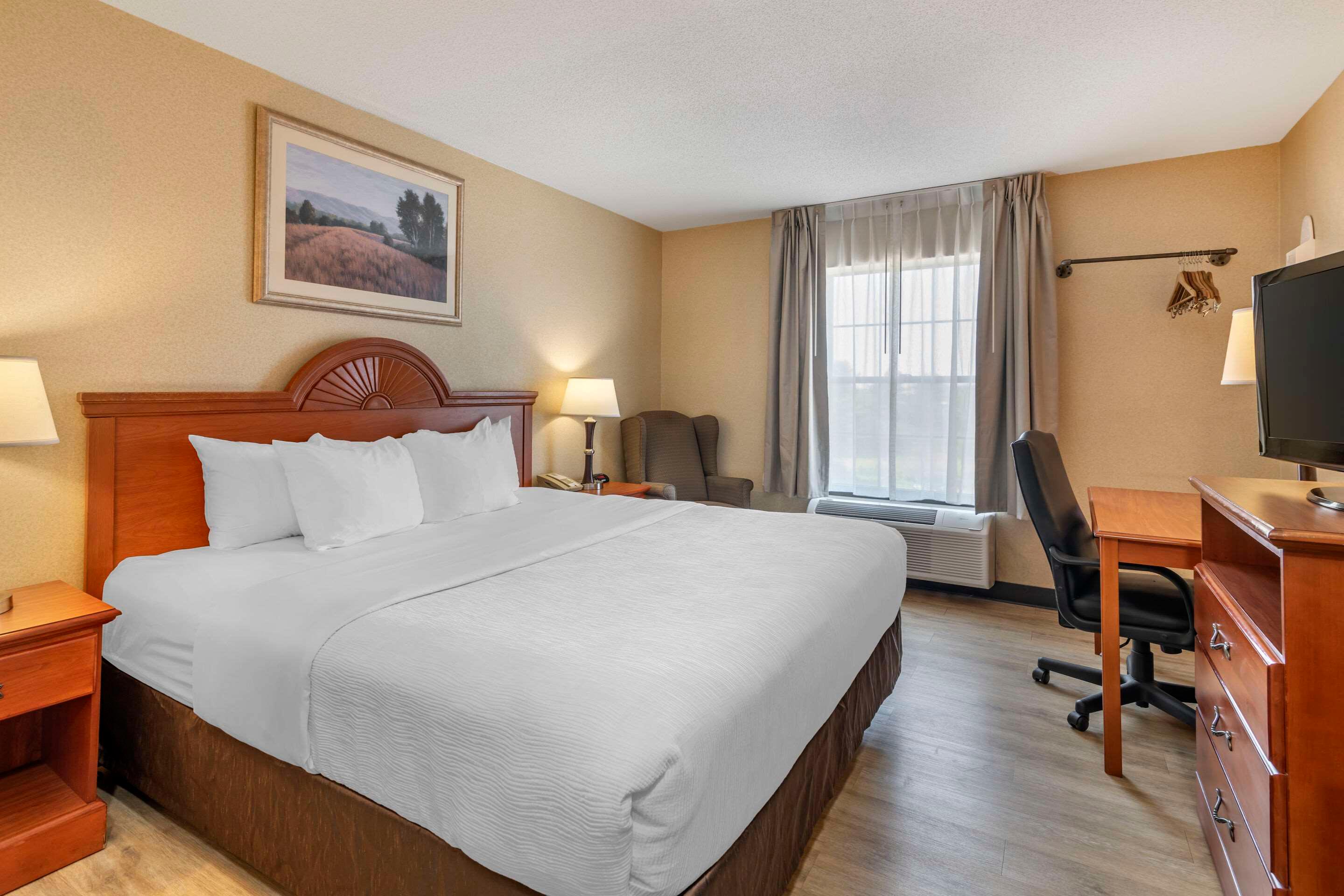 Efficiency, King Bed