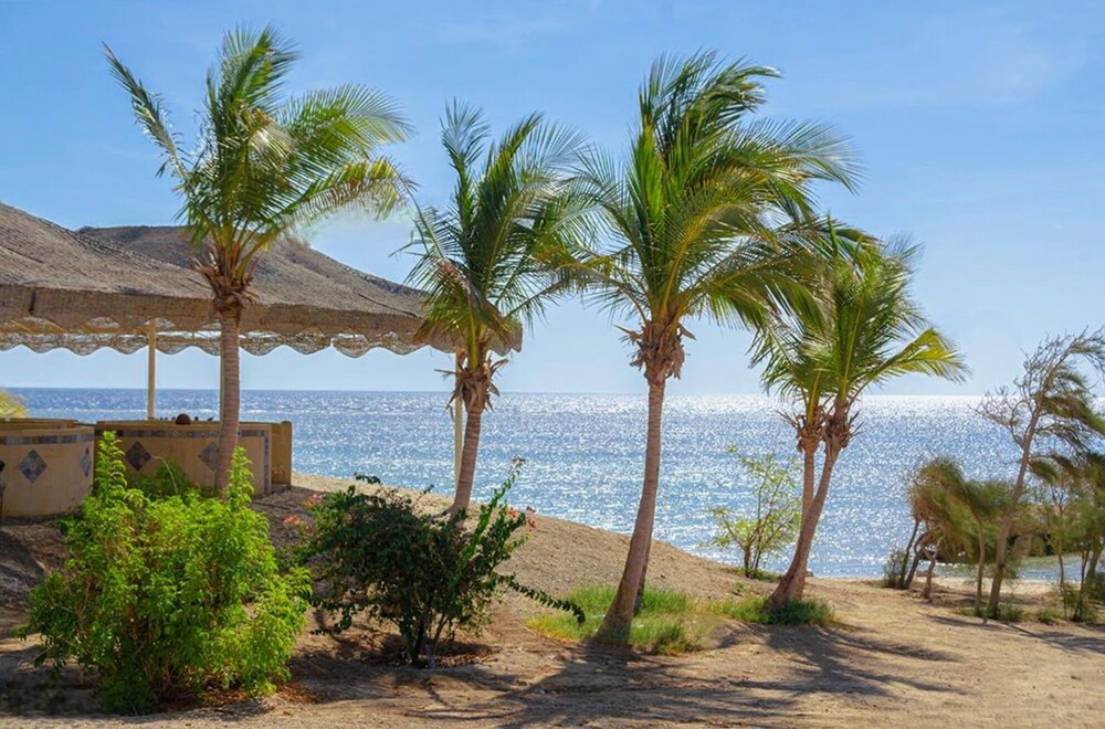 Neos Club Mangrove Bay 36/53