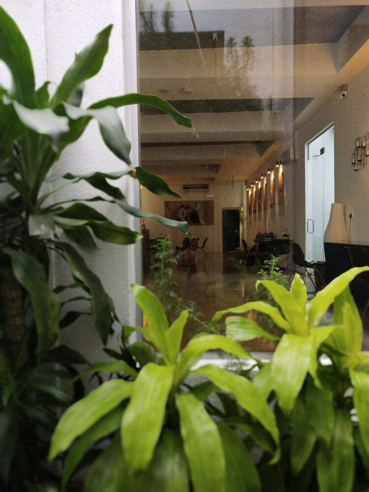 Beds In Garden Hostel Sdn Bhd 41/50