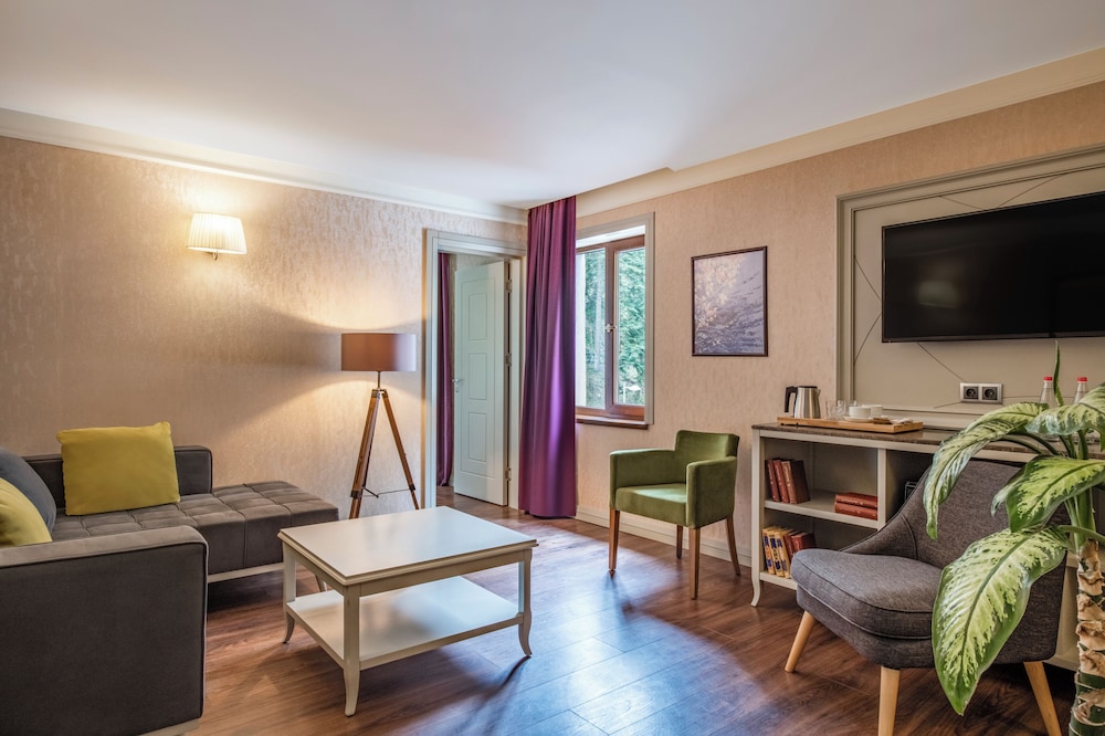 Sairme Hotels & Resorts 23/37