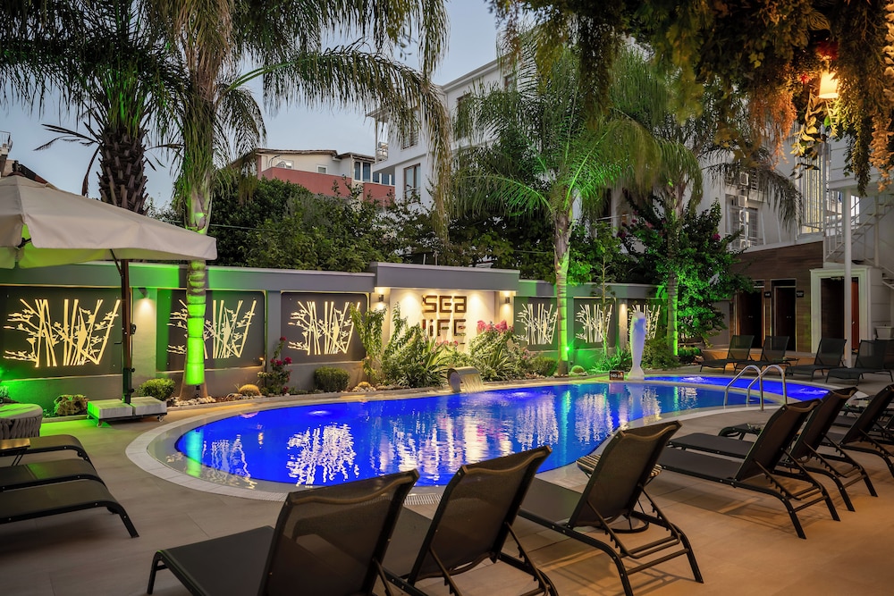 Sealife Lounge - Adults Only 47/50