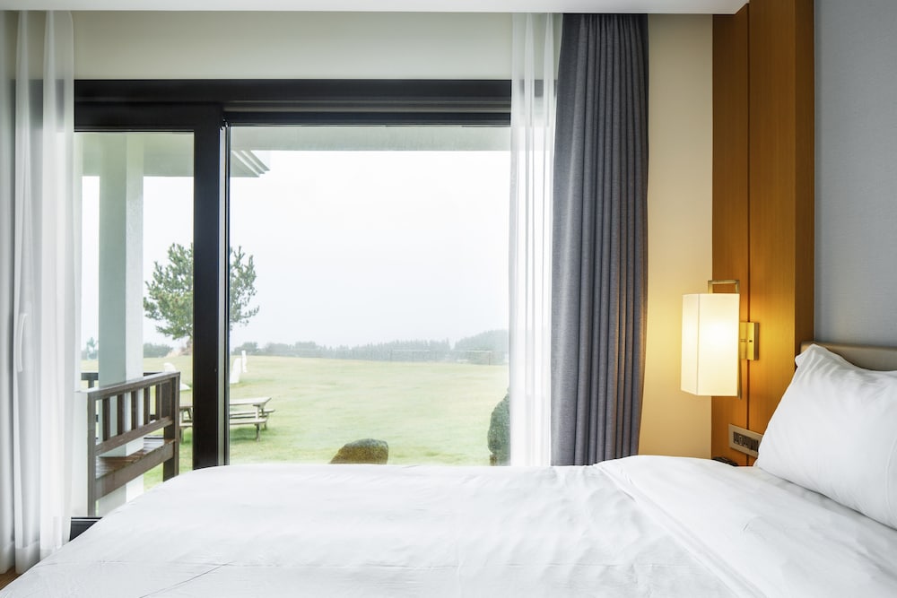Amber Purehill Hotels & Resorts Jeju 9/50