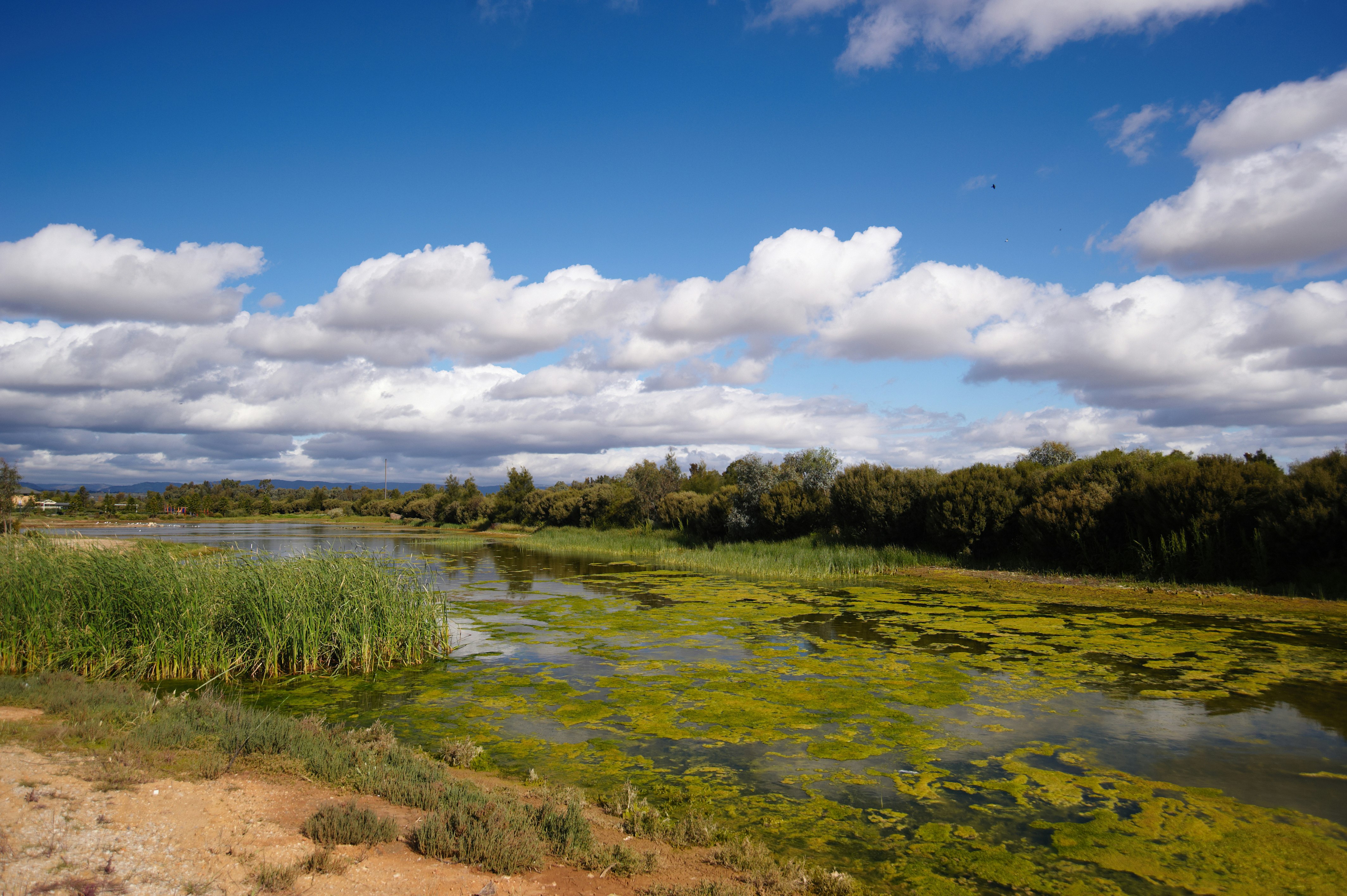 Quest Mawson Lakes 67/78