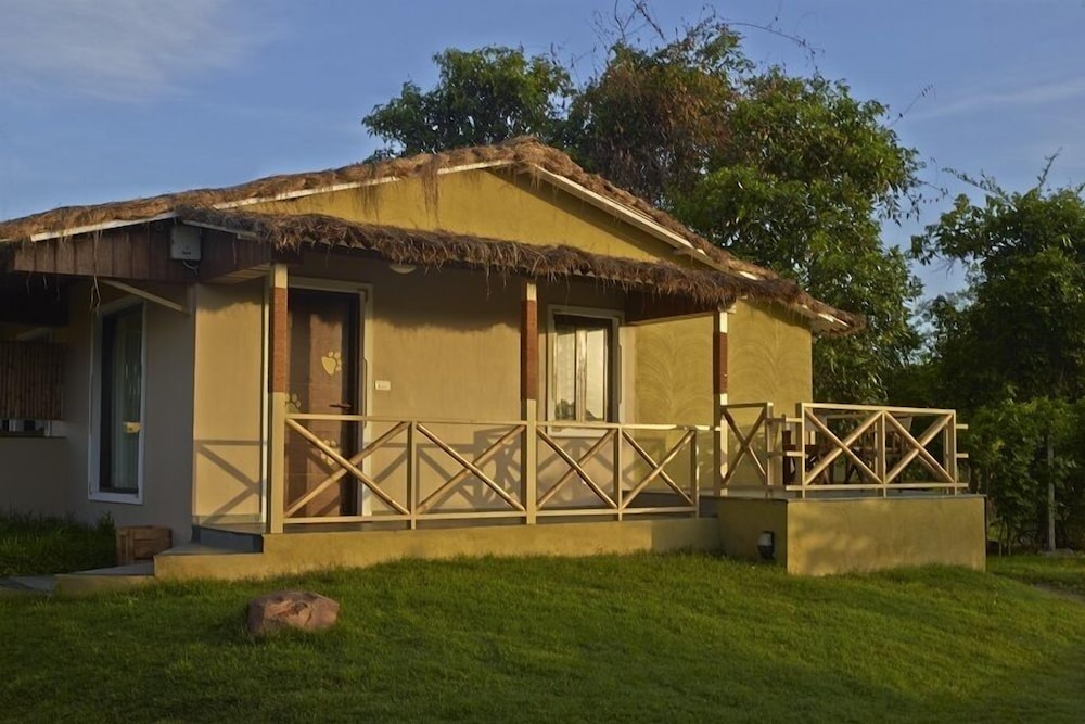 Asiatic Lion Lodge 2/50