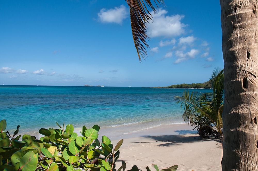 Mango Bay Resort 21/35