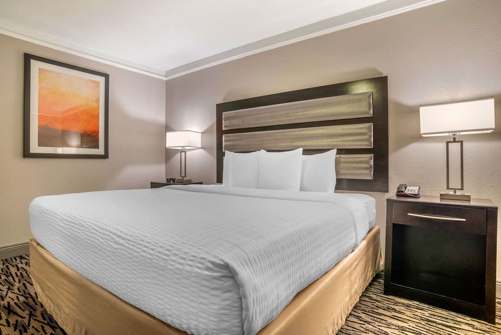 Clarion Inn Conference Center Gonzales, LA 15/41