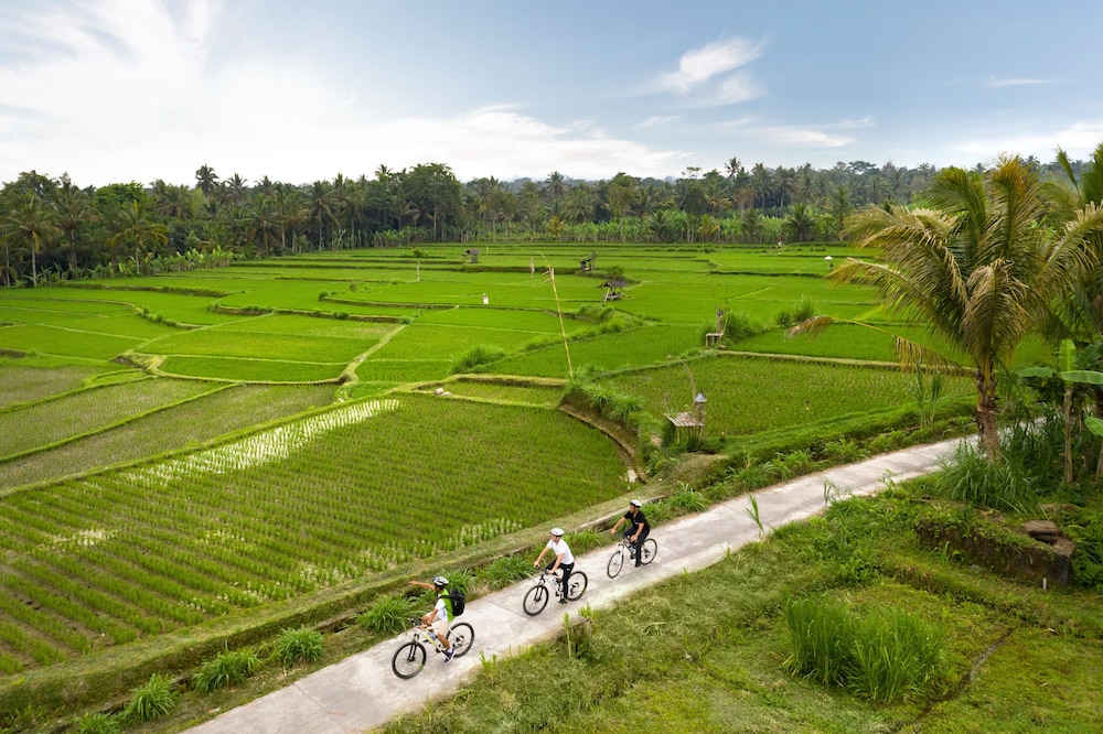 Padma Resort Ubud 45/69