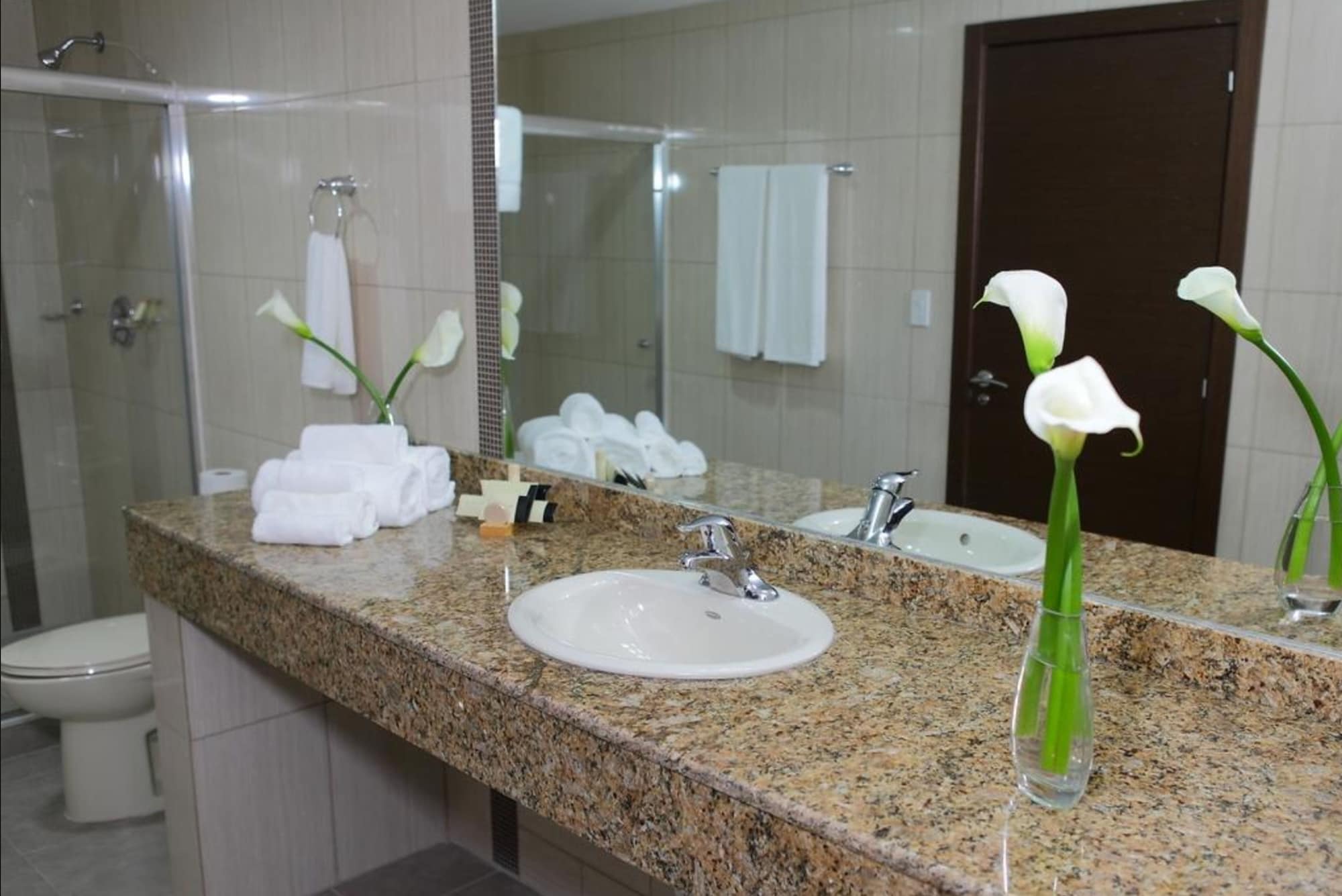 غرفة ديلوكس بسرير كينج، Victoria Hotel and Suites Panama 6/6