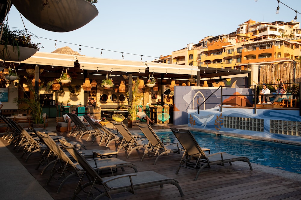 Mayan Monkey Los Cabos 40/50