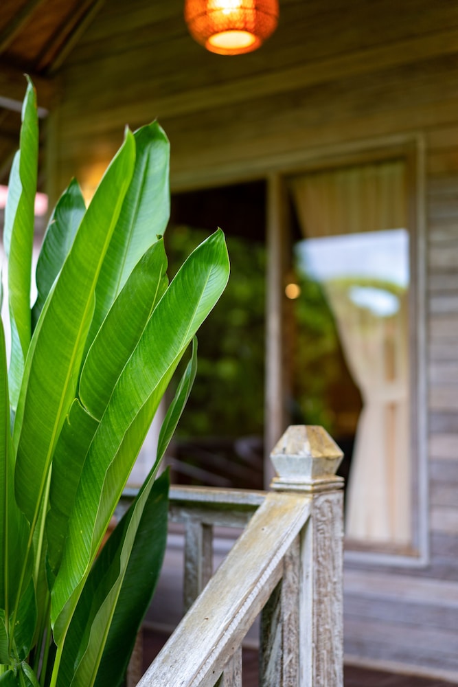 The Canda Villas 19/32