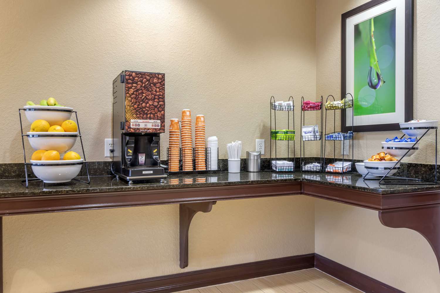 Comfort Inn & Suites Northeast - Gateway photo2