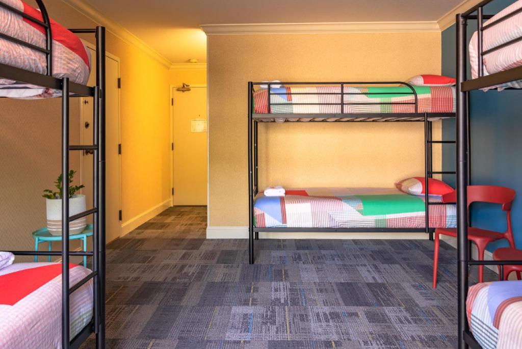 Private, Mixed Dorm, 6 Beds