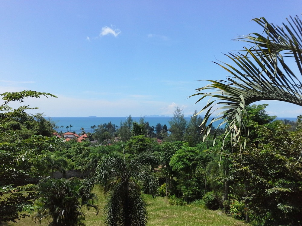 Freedom Estate 29/50