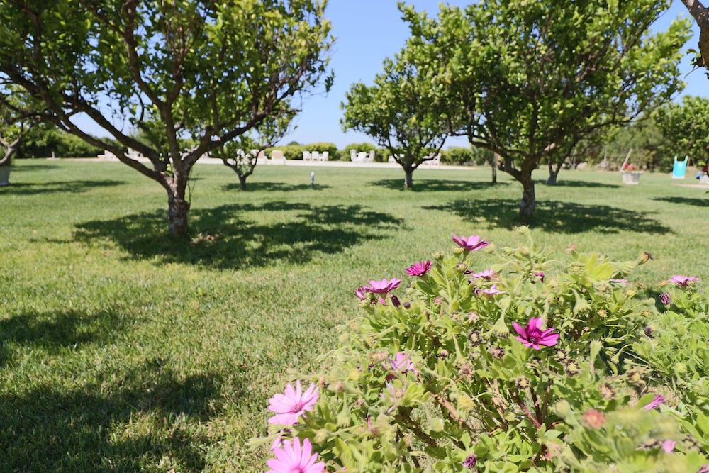 Tenuta Gli Agrumi Del Salento 47/50