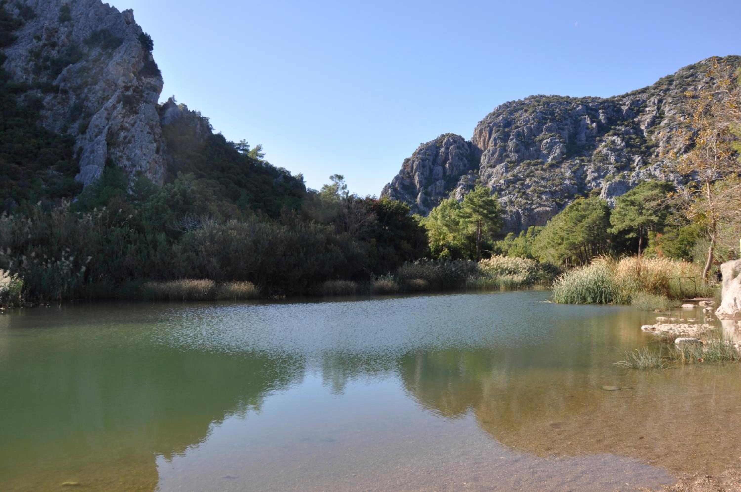 Canario Pension Bungalow 21/50