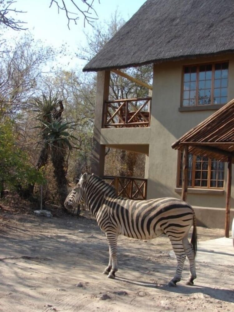 Marloth Kruger Accommodation 41/50